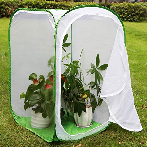 RESTCLOUD 36" Large Monarch Butterfly Habitat, Giant Collapsible Insect Mesh Cage Terrarium Pop-up 24 x 24 x 36 Inches - color: White with Green