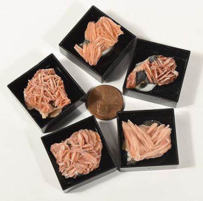 HQRP 1PC Orange Barite Baryte Blades w/Inclusions Crystal Cluster in Box Natural Sparkling Collectible Gemstone Crystal Mineral Rough Specimen - Morocco - color: Baryte