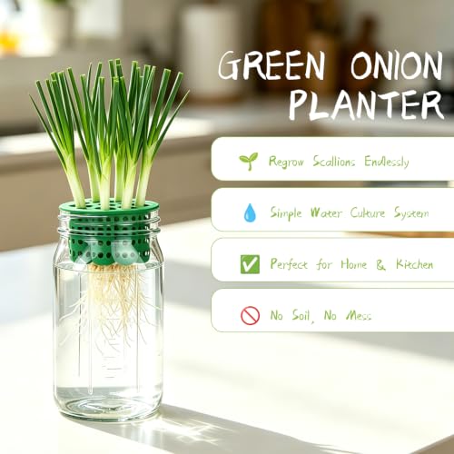 Seed Sprouting Kit & Green Onion Regrower, 2×32 Oz Wide-Mouth Mason Jars, Sprouter Lids, Stainless Steel Stand, Sprout Tray & Light Shield, Ideal for Sprouts, Broccoli, Alfalfa & Microgreens - color: Yellow + Green + Green Onion Regrower