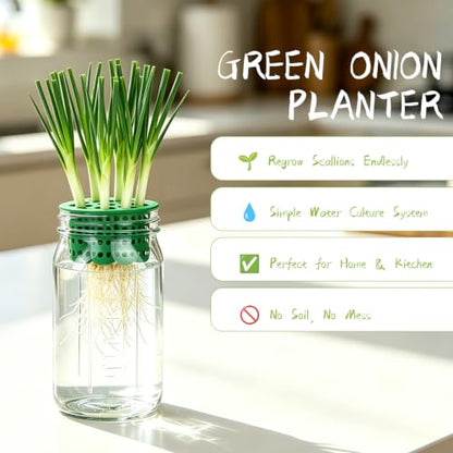 Seed Sprouting Kit & Green Onion Regrower, 2×32 Oz Wide-Mouth Mason Jars, Sprouter Lids, Stainless Steel Stand, Sprout Tray & Light Shield, Ideal for Sprouts, Broccoli, Alfalfa & Microgreens - color: Yellow + Green + Green Onion Regrower