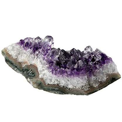 SUNYIK Pack of 5 Mini Natural Raw Amethyst Crystal Cluster Geode Home Decor