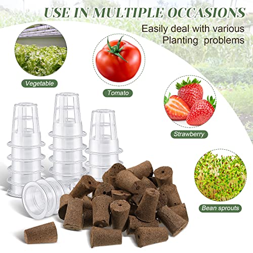 Jutom 60 Pieces Hydroponic Seed Grow Sponges Pod Kit for Indoor Outdoor Use