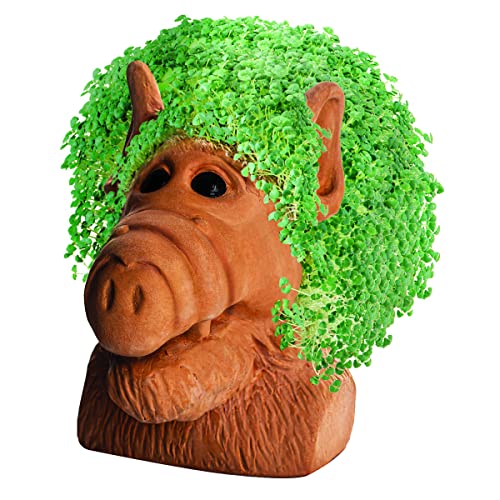 Chia Pet Alf Terracotta Planter with Seed Pack - color: Brown and Green