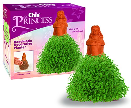 Chia Pet Princess with Seed Pack, Decorative Pottery Planter, Easy to Do and Fun to Grow, Novelty Gift, Perfect for Any Occasion - style: Princess