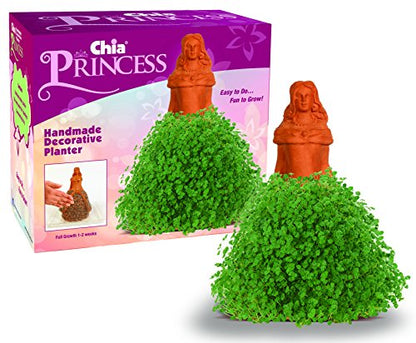 Chia Pet Princess with Seed Pack, Decorative Pottery Planter, Easy to Do and Fun to Grow, Novelty Gift, Perfect for Any Occasion - style: Princess