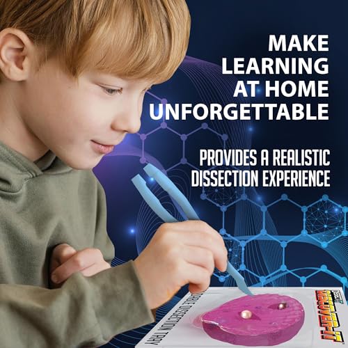 Discover-It Pearl Oyster, Science Lab Kit, STEM Toy for Kids, Ages 5+