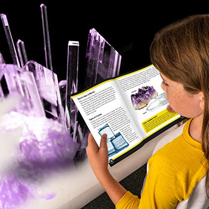 NATIONAL GEOGRAPHIC Purple Crystal Growing Lab - DIY Crystal Creation - Includes Real Amethyst Crystal Specimen - color: Purple