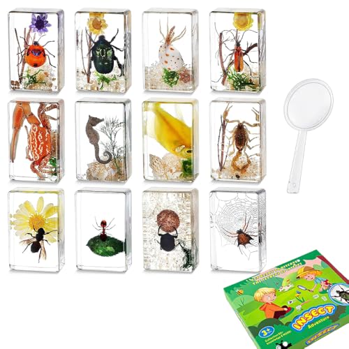 12 Pcs Insect Taxidermy in Resin, Interesting Microlandscape Insect Specimen Set for Back-to-School Gifts Oddities Bug Collection Paperweights Science Education Supplies