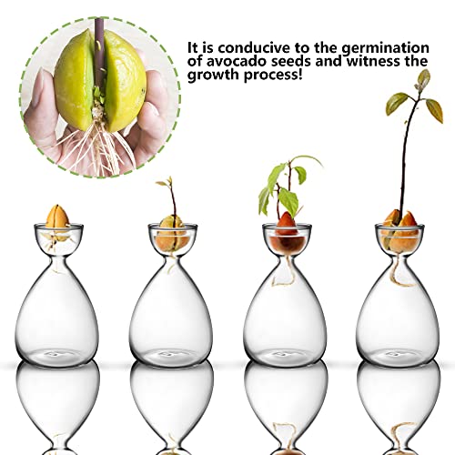 2pcs Small Avocado Seed Starter Vase, Avocado Tree Growing Kit, Avocados Glass Plant Pot Vase Gifts for Gardening Lovers (2pc Avocados vases)