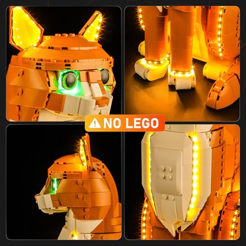 LIGHTAILING Led Light for Lego-21376 Ideas Orange Cat - Easy Install, Hidden Wiring, Home Decor & Gift-Ready (Model Not Included) - style: (Only Light) 21376 Orange Cat