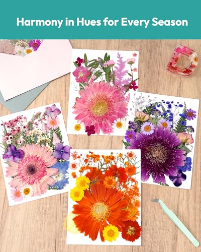 Dried Pressed Flowers, Resiners Dried Flowers for Candle Making Real Natural Pressed Flowers Dry Leaves Kit for DIY Crafts Resin Soap Scrapbook Card Making Jewelry (Gerbera Daisy 100pcs) - color: Bold Gerbera 100pcs