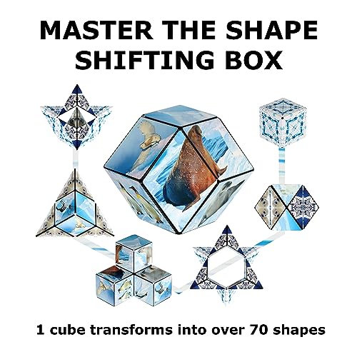 Shashibo DODECA Magnetic Puzzle Cube, Stress Relief Fidget Toy - color: Arctic, size: DODECA