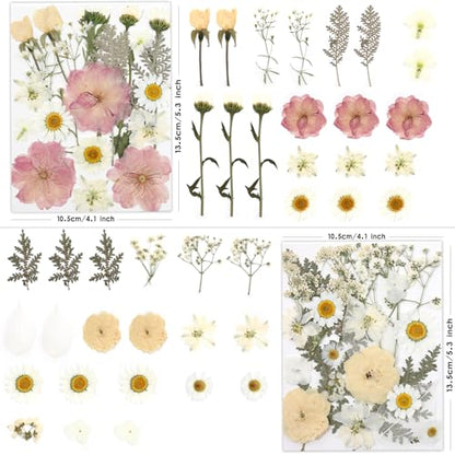LUXEEASE 80P White Pink Dried Pressed Flowers - color: White 80pcs
