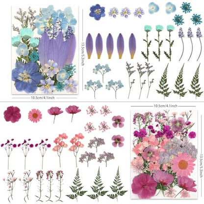 LUXEEASE 4 Color 110P Long Stem Dried Pressed Flowers - color: 4-color Long Stem 110p