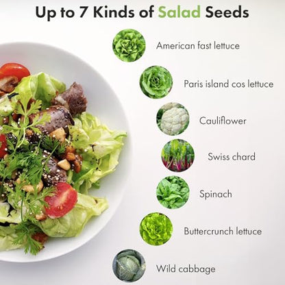 LYKOCLEAN Salad Seed Pods Kit for AeroGarden, Ahopegarden - Includes American Fast Lettuce, Paris Island cos, Buttercrunch, Spinach, Swiss Chard, Cabbage, Cauliflower, 12 pods, 400+ Seeds - color: Salad, size: 12pods