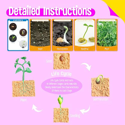 15 Plant Life Circle Flashcards with 4 Plastic Figurines-Seed to Plant, Plants Introduction Card Plants Growth Details for Nature Lovers & Adults, Montessori Toy for Kids - style: Plant