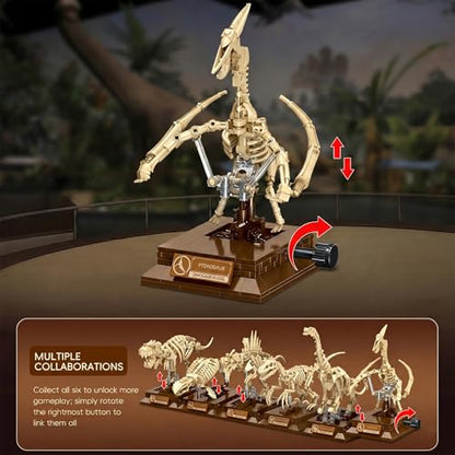 DRZYJ Pterosaur Dinosaur Fossil Building Set, 188Pcs Movable Pteranodon Skeleton Model Kit with Museum Display Stand, Educational Flying Dinosaur Toy for Kids 8+, Ideal Gift for Dinosaur Fans - style: Pterosaur