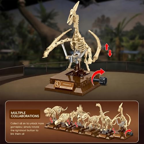 DRZYJ Pterosaur Dinosaur Fossil Building Set, 188Pcs Movable Pteranodon Skeleton Model Kit with Museum Display Stand, Educational Flying Dinosaur Toy for Kids 8+, Ideal Gift for Dinosaur Fans - style: Pterosaur