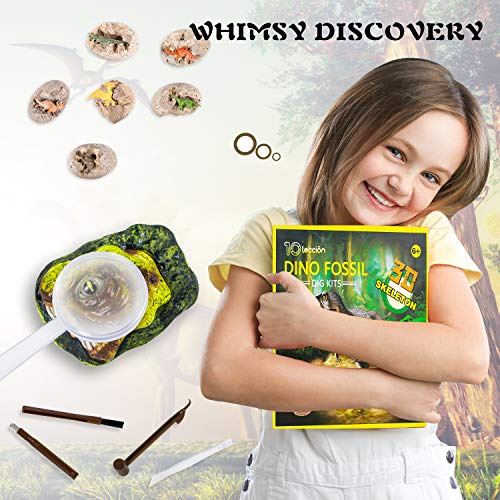 Dinosaur Fossil Digging Kit for Kids, Dinosaur Eggs Excavation Kit, Dino Fossil Dig Kit, Great STEM Science Kit Gifts