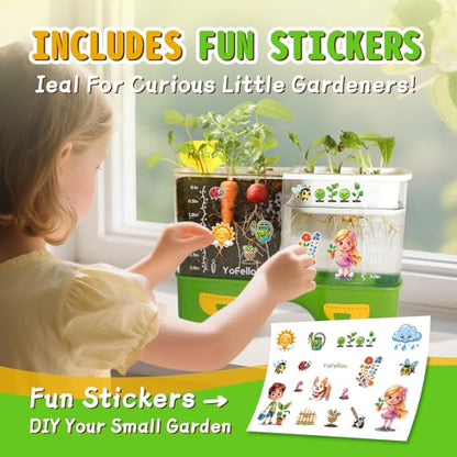 Root Viewer Science Kit for Kids – Grow Your Own Plant STEM Toy & Gardening Kit for Ages 6-12 – Educational Gift for Boys & Girls with Soil, Hydroponics, Journal & Stickers