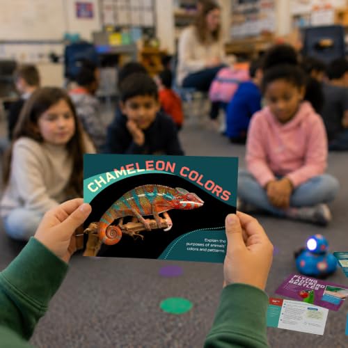 Science STEM Activity Cards Ages 8+ - style: Ages 8+
