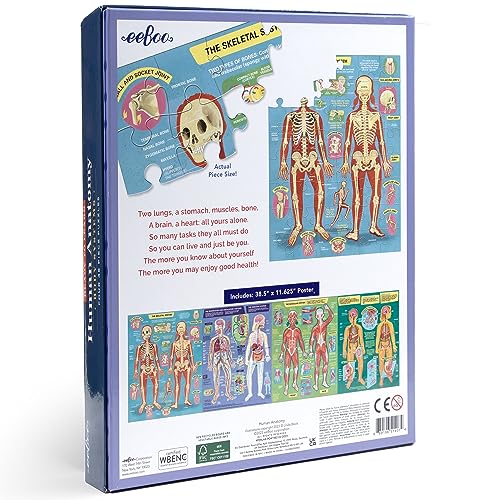 eeBoo Human Anatomy 48 Giant Piece Children's Puzzle, Four 12 PC Puzzles - style: Human Anatomy