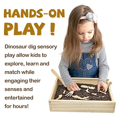 Dinosaur Excavation Archaeology Dig Kit for Kids, Fossil Sensory Bin Toys - style: Tyrannosaurus