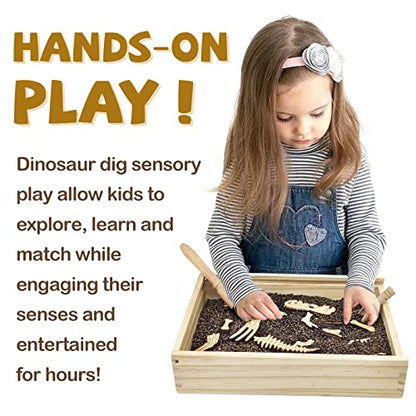 Dinosaur Excavation Archaeology Dig Kit for Kids, Fossil Sensory Bin Toys - style: Tyrannosaurus