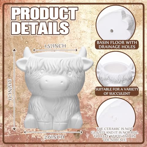 Beeveer 6 Pcs Ready to Paint Your Own Highland Cow Succulent Ceramic Pots - style: Highland Cow