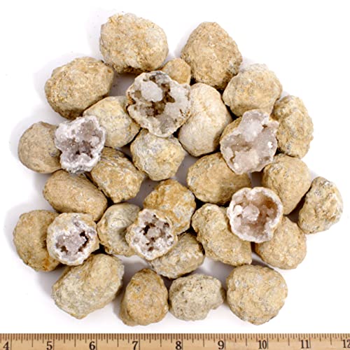 DANCING BEAR 25 Break Your Own Geodes, (Medium 1-1.5") 90% Hollow, Crack Open & Discover Amazing Surprise Crystals Inside! Educational Info and Instructions Included, Fun Party Favors & Prizes - style: Medium (1-1.5")