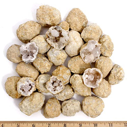 DANCING BEAR 25 Break Your Own Geodes, (Medium 1-1.5") 90% Hollow, Crack Open & Discover Amazing Surprise Crystals Inside! Educational Info and Instructions Included, Fun Party Favors & Prizes - style: Medium (1-1.5")