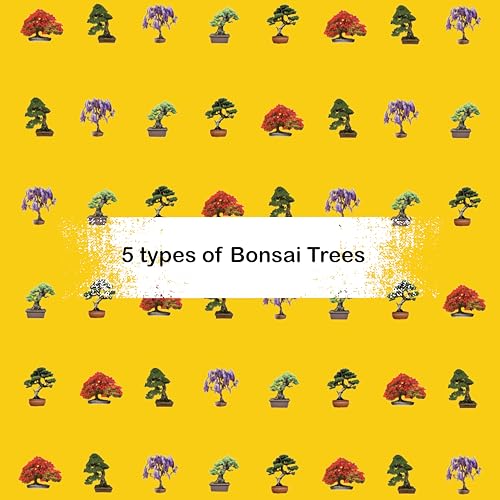 Bonsai Starter Kit - 5 Unique Tree Types, Special DIY Garden Hobby Kits - Great for Plant Lovers, for Kids, Men, Women, and Bonsai Enthusiasts