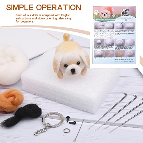 QMNNMA Needle Felting Kit for Beginners, Labrador Wool Felting Kit - size: Labrador
