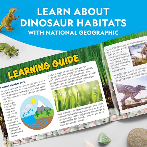 National Geographic Light-Up Dinosaur Terrarium Kit for Kids Ages 6+ - style: Large Dino Habitat