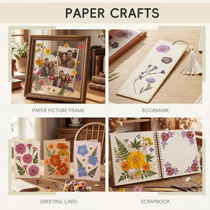 LUXEEASE 80P Vibrant Multicolor Dried Pressed Flowers - color: Warm Toned Flowers 80p