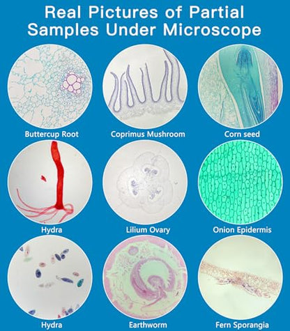 Microscope Slides with Specimens for Kids, 60 Lab-Grade Prepared Microscope Slides, Animal/Plant/Microbe/Tissue Samples, STEM Biology Kit for Homeschool, Classroom Labs & Science Education - size: Ages 8+