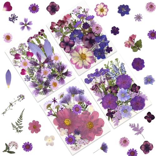 LUXEEASE 100P Purple Dried Pressed Flowers - color: Purple Medley 100p