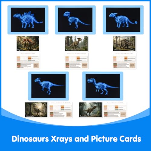 15 Pcs Dinosaur Xrays & Creatures Cards - Light Table Toys - style: Dinosaur Series