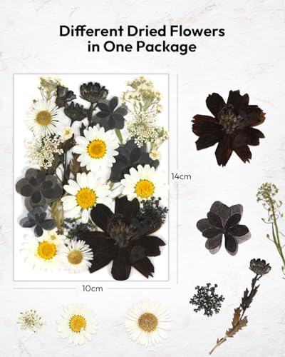 Dried Flowers, Resiners 100Pcs Pressed Flowers for Craft Black Real Natural Dried Flowers Dry Leaves Kit for DIY Making Crafts Resin Soap Candle Scrapbook Supplies Card Making Jewelry - color: Nightfall 100pcs