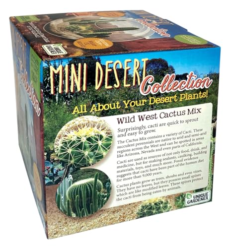Cactus Succulent Glass Terrarium Starter Kit from Unique Gardener - Grow Your Own Indoor Desert Terrariums - Includes Live Cacti Plants and Easy Setup with Complete Terrarium Supplies - style: Mini Desert