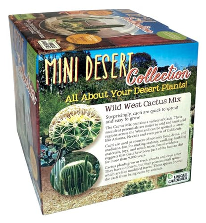 Cactus Succulent Glass Terrarium Starter Kit from Unique Gardener - Grow Your Own Indoor Desert Terrariums - Includes Live Cacti Plants and Easy Setup with Complete Terrarium Supplies - style: Mini Desert