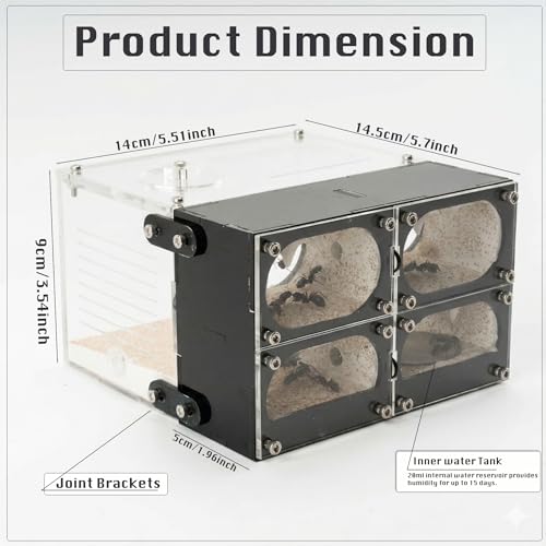 Strata Series - QuadCave Ant Nest with Starter kit - size: QuadCave