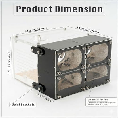 Strata Series - QuadCave Ant Nest with Starter kit - size: QuadCave