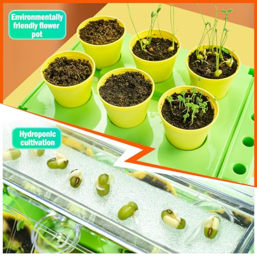 Kids Plant Growing Kit - Kids Greenhouse & Flower Growing Kit with Hydroponic Growing System, Thermometer,Wind Vane & Tools, Educational STEM Plant Growing Set