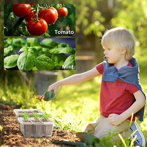 Bonviee 10-Pack Seed Starter Trays, Tall Dome, Base, 12-Cell Tray, Clear - color: Clear, size: 10 Packs