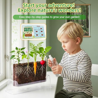TitaniX Root Viewer Kit for Kids with 4 Seed Varieties, STEM Science Toy & Craft Growing Kits for Boys & Girls, Grow Your Own Plant for Ages 4-8 Birthday Gifts for Boy,4, 5, 6, 7, 8, Year Old
