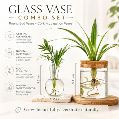 Plant Propagation Stations, 2 Style Glass Planter Terrariums, Propagation Vases for Plant, Plant Propagation Jars for Hydroponic Planter Home Office Tabletop Decoration (4)