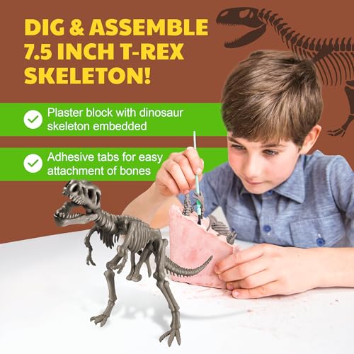 4M | STEAM Dinosaur World Exploration| Hands-On Science Kit with Dinosaur Figures & Fossil Experiments for Kids Ages 5+ - Educational Paleontology Toy Gift - style: Dinosaur World