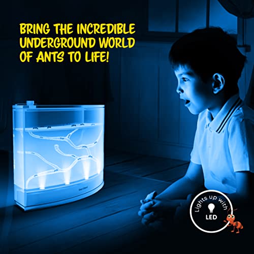Dan&Darci Light-up Ant Farm Terrarium Kit for Kids – LED Habitat for Live Ants with Nutrient Rich Gel - Watch Them Dig Their Own Tunnels - Learning Science Toys, Experiment Gift for Boys & Girls