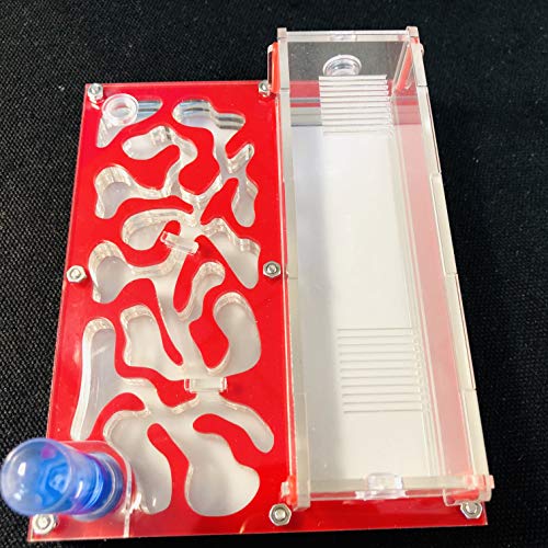 ANT 150mmx110mm Test Tube Moisture Big Space Nest Farm Acrylic, Insect Villa House Ecological Workshop (red) - color: red